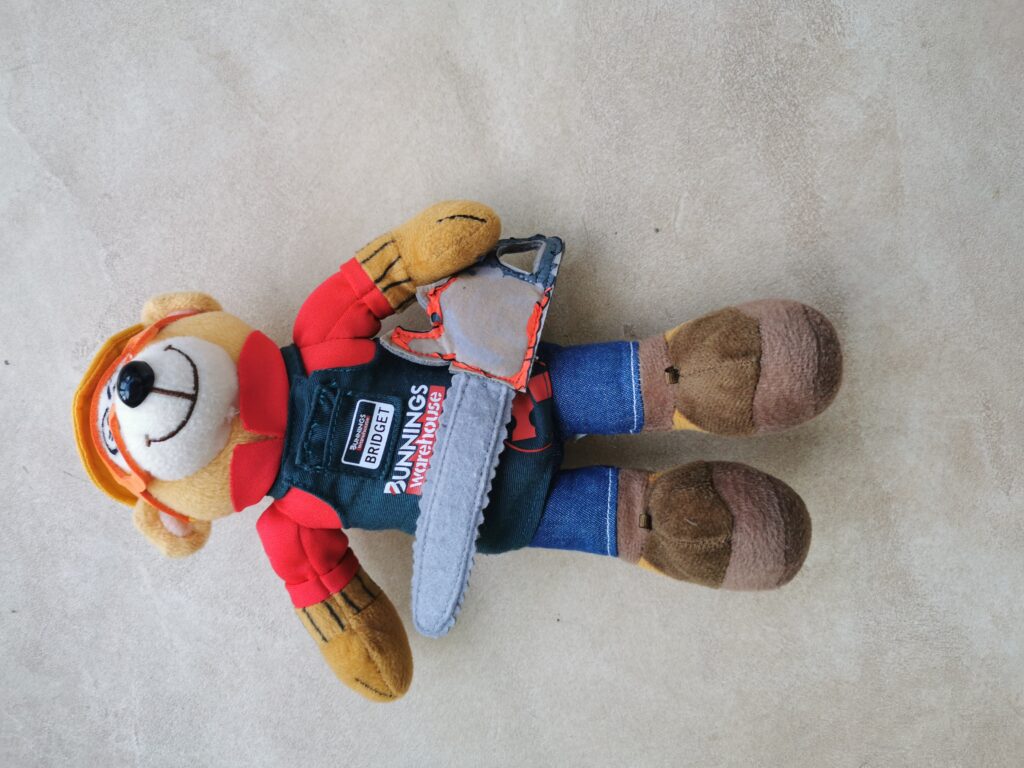 Bunnings Brian Bear
